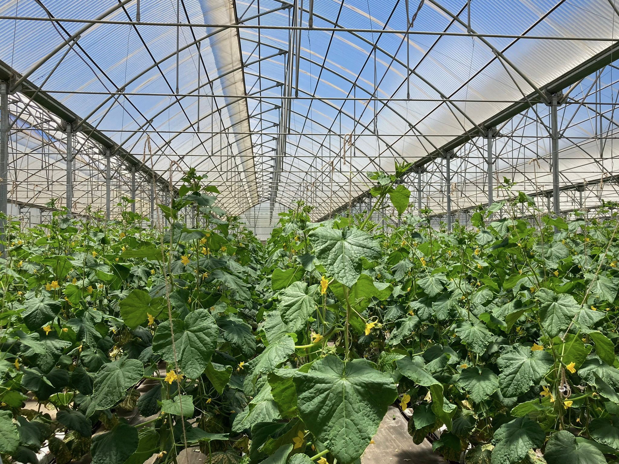 Business consulting meeting with professionals