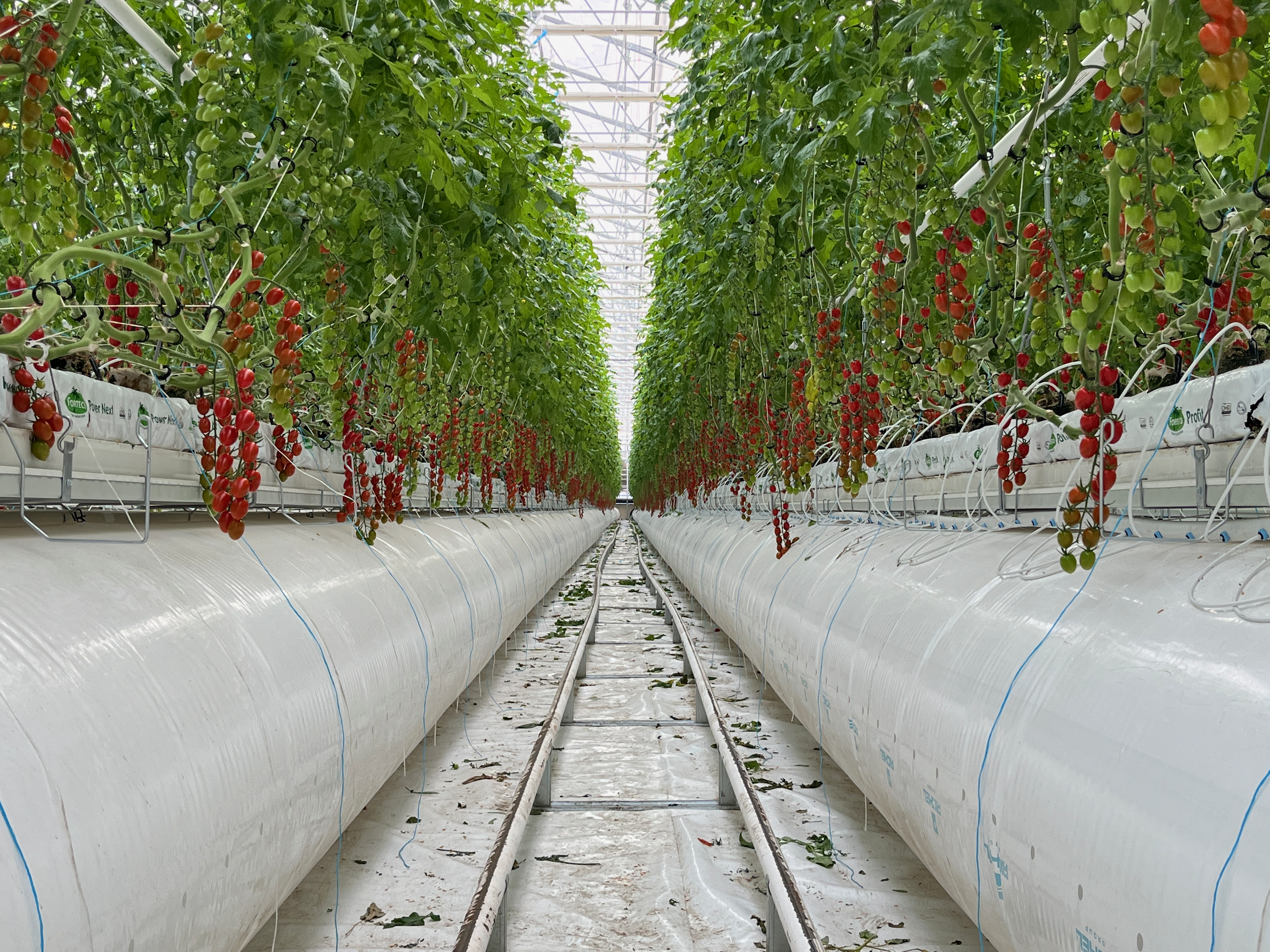 Business consulting meeting with professionals